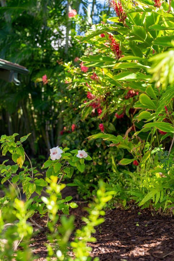 Noahs Hideaway Luxury B&B Lahaina Zewnętrze zdjęcie