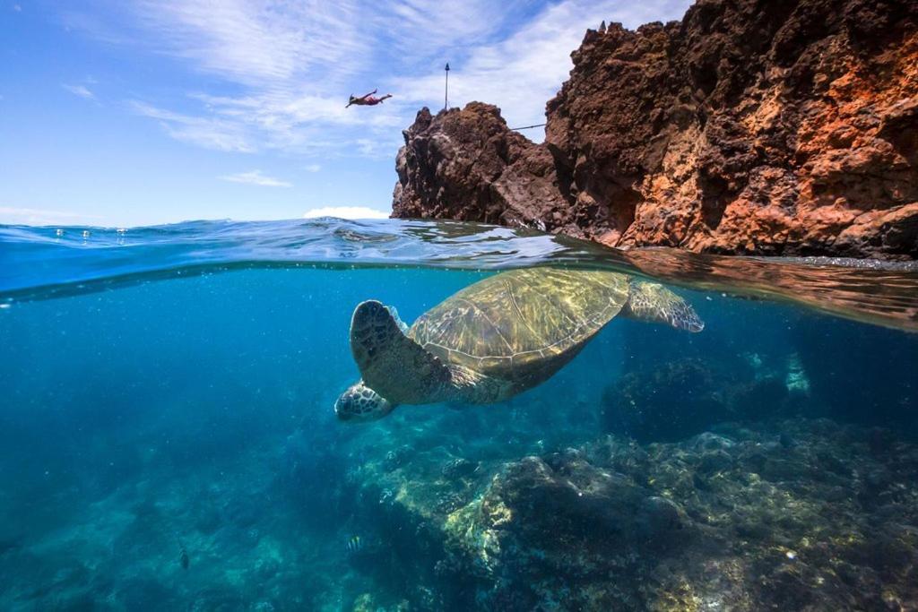 Noahs Hideaway Luxury B&B Lahaina Zewnętrze zdjęcie